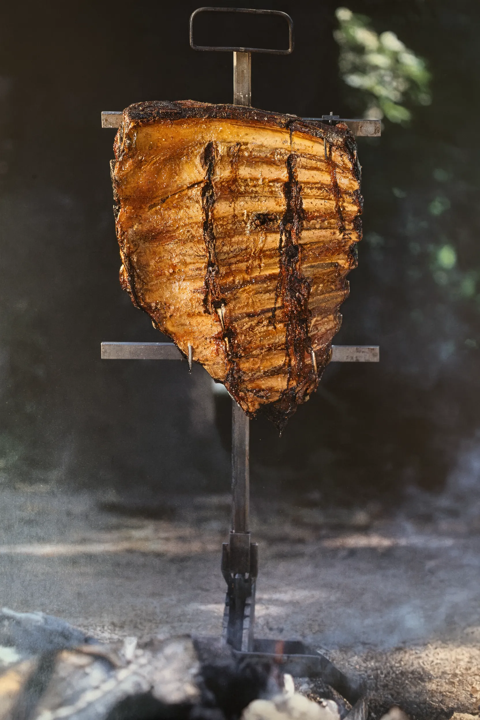 Спинные Ребра (Back Ribs): Патагонский Рецепт на Вертеле и Гриле