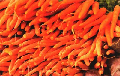 Морковь-гриль