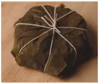 bri-v-vinogradnyh-listjah-s-salsoj-iz-vinograda4.jpg bri-v-vinogradnyh-listjah-s-salsoj-iz-vinograda4.jpg