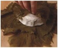 bri-v-vinogradnyh-listjah-s-salsoj-iz-vinograda2.jpg bri-v-vinogradnyh-listjah-s-salsoj-iz-vinograda2.jpg