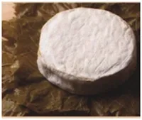 bri-v-vinogradnyh-listjah-s-salsoj-iz-vinograda1.jpg bri-v-vinogradnyh-listjah-s-salsoj-iz-vinograda1.jpg