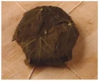 bri-v-vinogradnyh-listjah-s-salsoj-iz-vinograda3.jpg bri-v-vinogradnyh-listjah-s-salsoj-iz-vinograda3.jpg