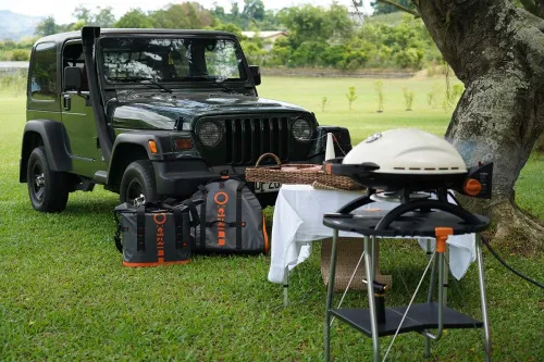 Pro Iroda O-GRILL Сумка холодильник 25L