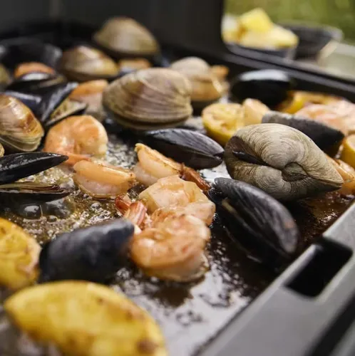 Weber Genesis EP-435W LP газовый гриль, черный