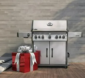 Акция на газовые грили Napoleon