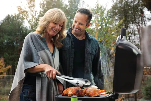 Napoleon TravelQ 285 PRO гриль электрический 220В