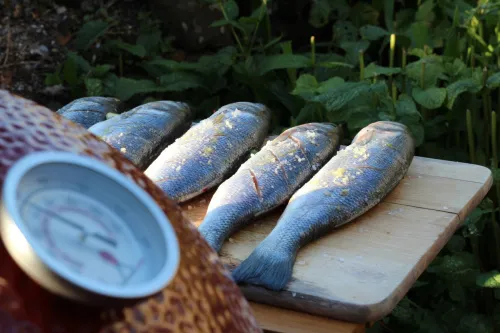 Kamado Joe Противень-полумесяц из нержавеющей стали с лазерной обработкой для гриля Classic Joe