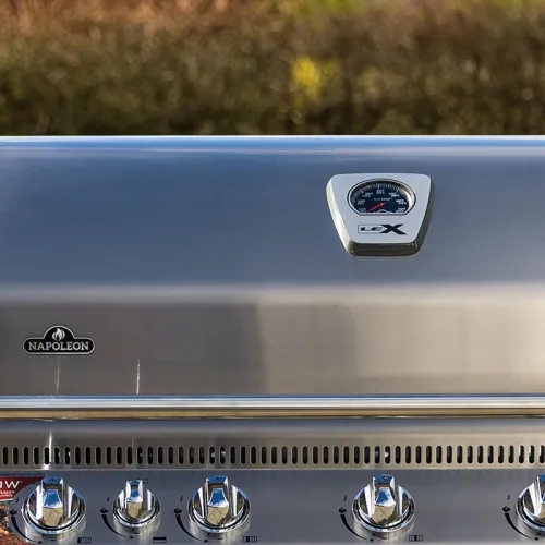 Napoleon Датчик температуры механический (LEX)