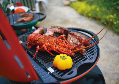 Pro Iroda O-GRILL 700T гриль газовый переносной оранжевый + адаптер А