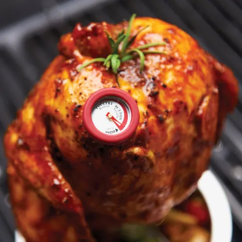 Broil King НАБОР МИНИ ТЕРМОМЕТРОВ С СИЛИКОНОВОЙ ФАСКОЙ