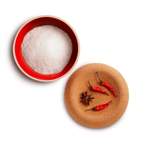 Emile Henry Емкость для хранения соли, цвет гранат