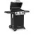 Broil King GEM™ 310 газовый гриль Broil King GEM™ 310 газовый гриль