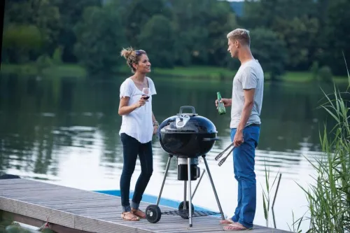 Napoleon Вертел с 2-мя зажимами, экраном и электромотором для угольных грилей