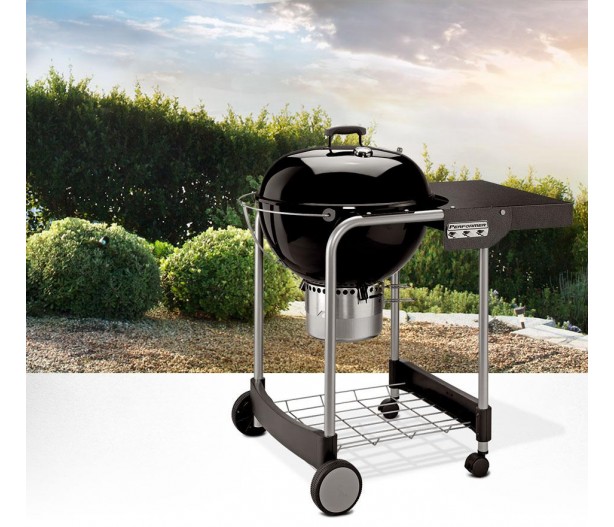 Конструктивные особенности газовых грилей Weber