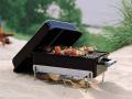 Weber Go-Anywhere