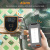 InkBird ISC007-BW Портативный Bluetooth+WiFi термометр-контроллер с 4-мя щупами