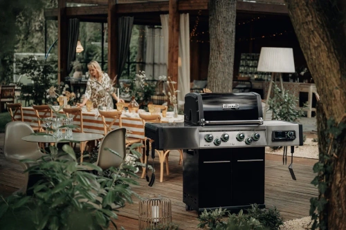 Broil King REGAL™ iQ 490 газовый гриль